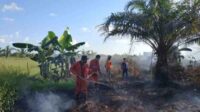 Lahan Gambut Terbakar