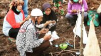 Komunitas Adat Sungai Batu Berladang Tanpa Bakar