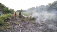 kebakaran hutan dan lahan