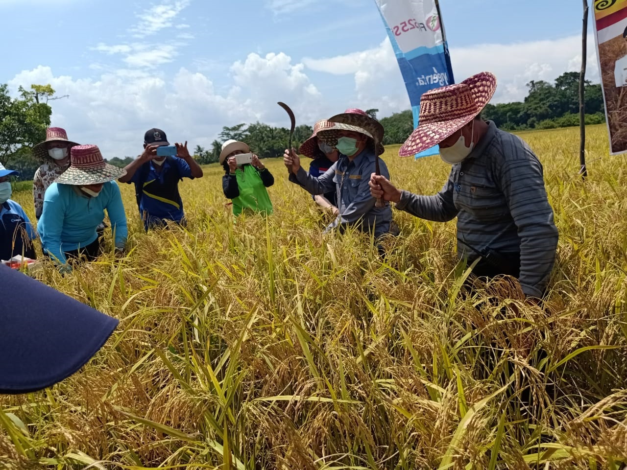 Pertahankan Pembangunan Pertanian Di Bartim Radarsampit Com