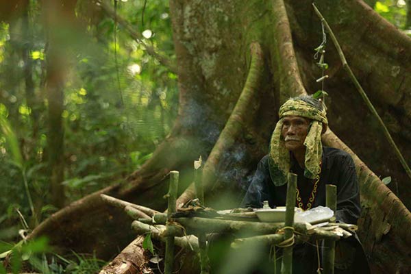 Perjuangan mempertahankan hutan adat di Kalimantan Tengah diangkat menjadi kisah film