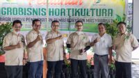Kelompok Tani Lintang Batang Hortifarm Berikan Pelatihan Agrobisnis Hortikultura