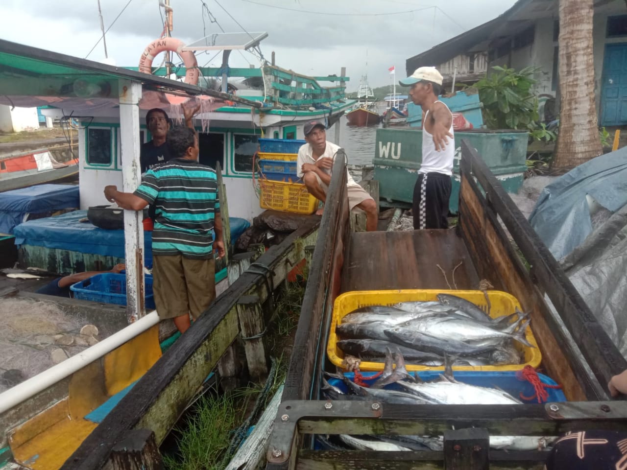 Berangus Tengkulak Nakal Pelelangan Ikan Kumai Bakal Dioperasikan