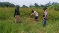 Jenazah perempuan yang ditemukan di Dusun Teluk Tiwah