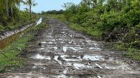 Jalan Desa Sungai Cabang Butuh Sentuhan