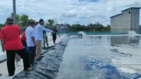 udang vaname,pantai lunci,tambak udang vaname,Pemdes Sungai Damar Bangun Klaster Tambak Udang Vaname