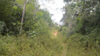 Jalan tembus sebelas desa di Kecamatan Katingan Hulu