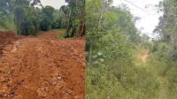 Dugaan penyimpangan proyek pembuatan jalan tembus sebelas desa di pedalaman Kabupaten Katingan menyeret dua orang jadi pesakitan