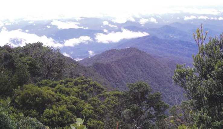 Gunung Bukit Raya di Kabupaten Katingan