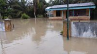 Ratusan rumah terendam banjir. Salah satunya di Desa Sungai Hijau, Kecamatan Pangkalan Banteng