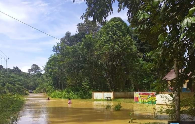 banjir sungai dau