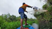 sungai sepingit kaya ikan