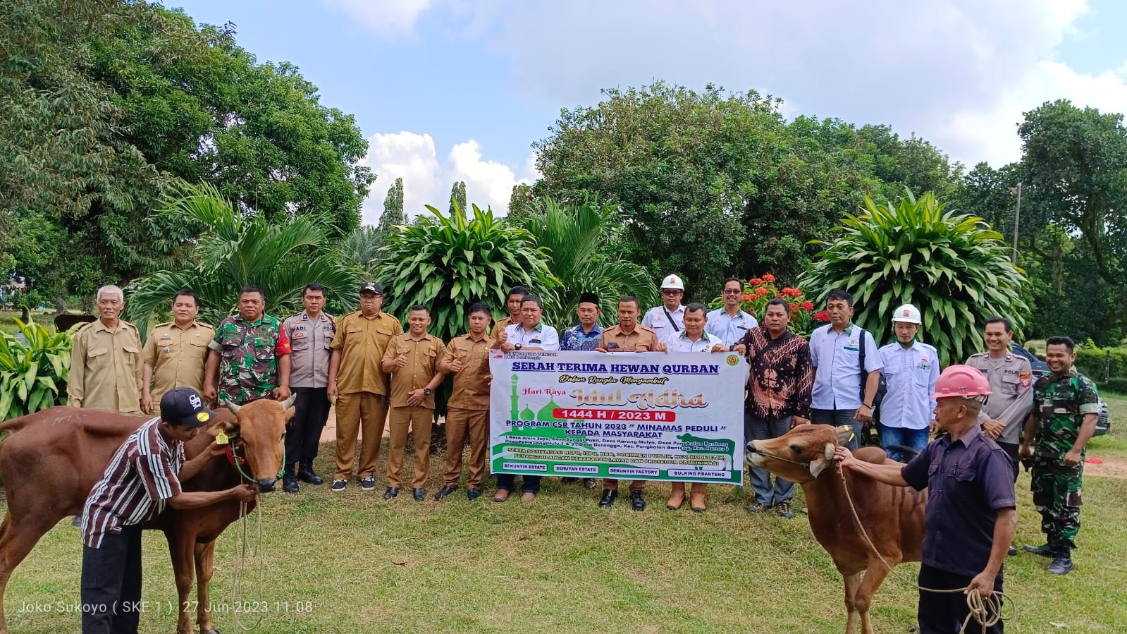 Minamas Plantation Bagikan 28 Ekor Sapi Kurban