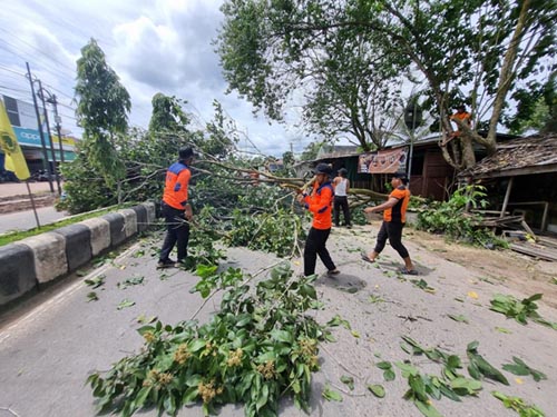 Bpbd Antisipasi Bencana Alam Di Lamandau Radarsampit Com