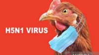 flu burung