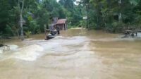 banjir