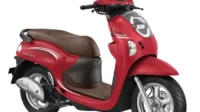 honda scoopy 2024