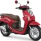 honda scoopy 2024