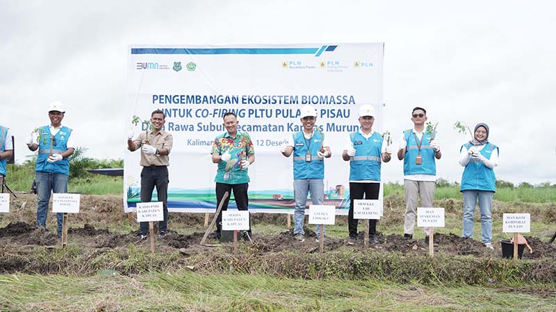 Kembangkan Ekosistem Biomassa, PLN Tanam 200 Ribu Bibit Gamal di Kabupaten Kapuas dan Pulang Pisau