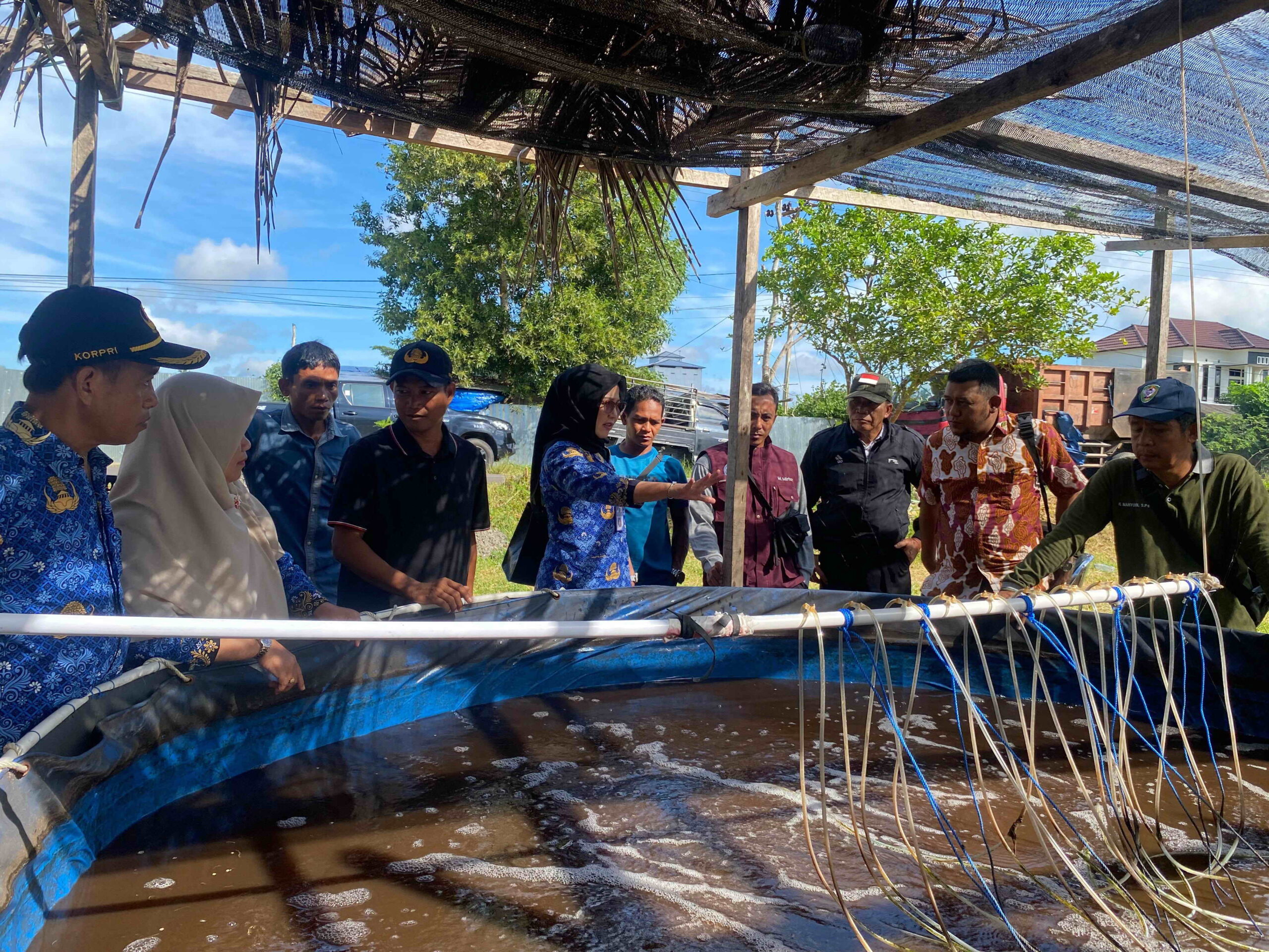 Antang Tabela Panen Perdana Ikan Nila 